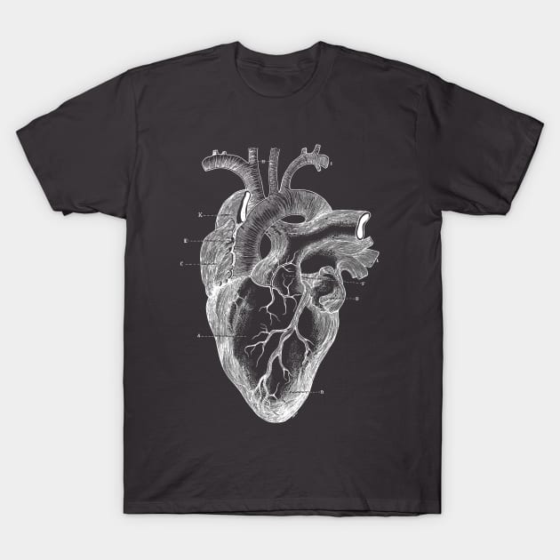 Hearth T-Shirt by agakubish